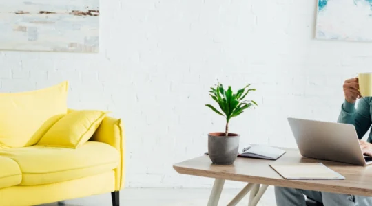 comment-proteger-sa-maison-quand-on-n-est-pas-en-teletravail